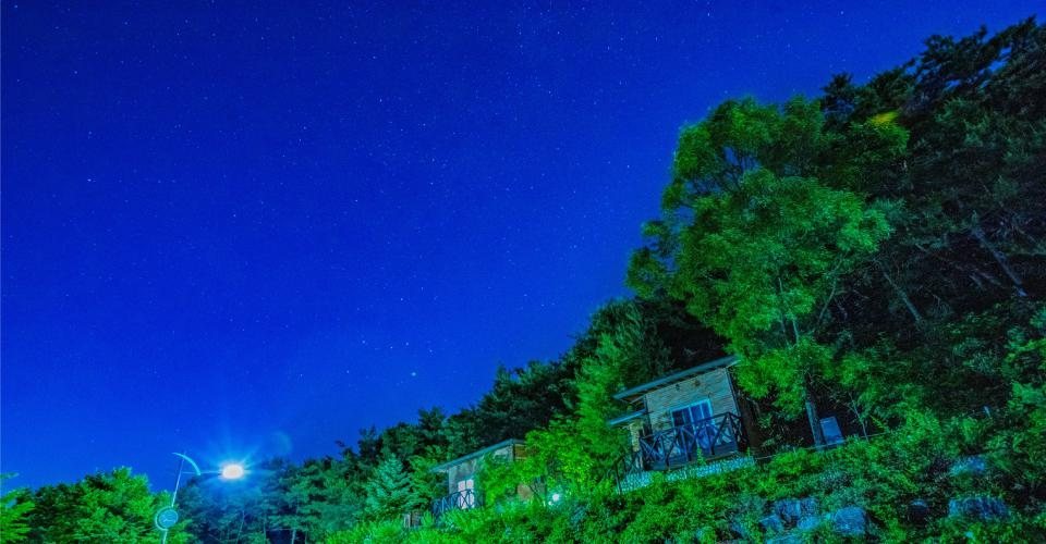 별이 보이는 짙은 파란 밤하늘 아래 숲 비탈의 숲속의 집